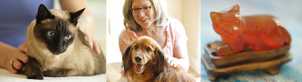 Pet energy therapy with Ricarda O'Conner